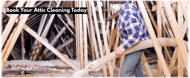 Attic Cleaning Alexandria